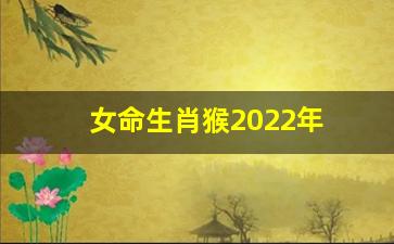 属猴 貔貅 女命生肖猴2024年运程运势,女命属猴的人2024年每月运势详解