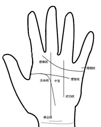 一下:手掌和手掌纹的信号