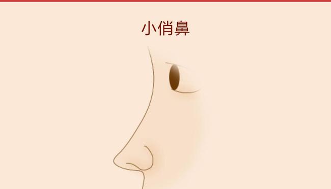 
鼻子是外貌观察的一个重要部位，它可以预示一个人的财运和能力