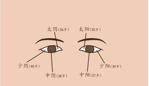 三大旺夫面相代表_面相学眼睛代表什么_面相眼睛图解