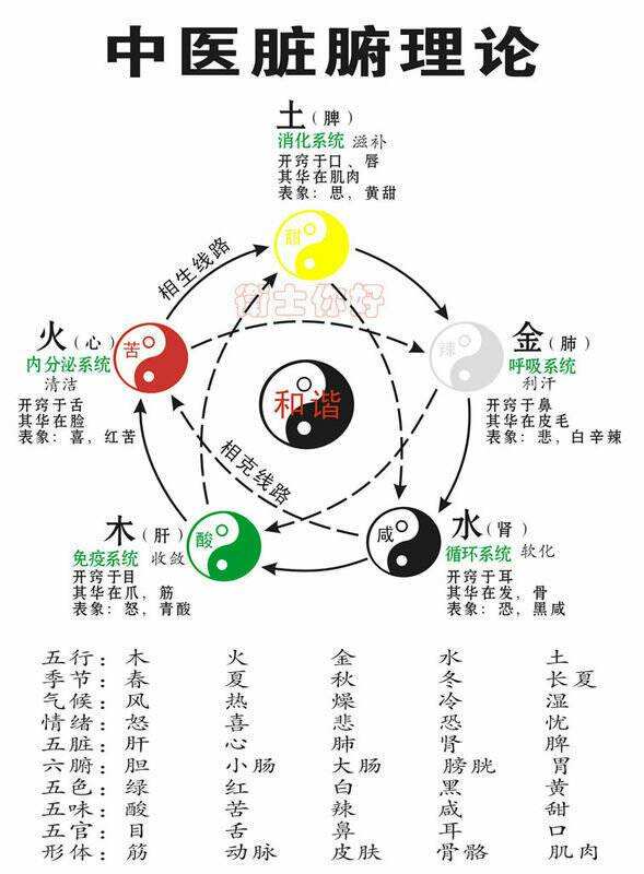阴阳五行理论在生活中的例子_生活中遇到的阴阳五行_阴阳五行的例子