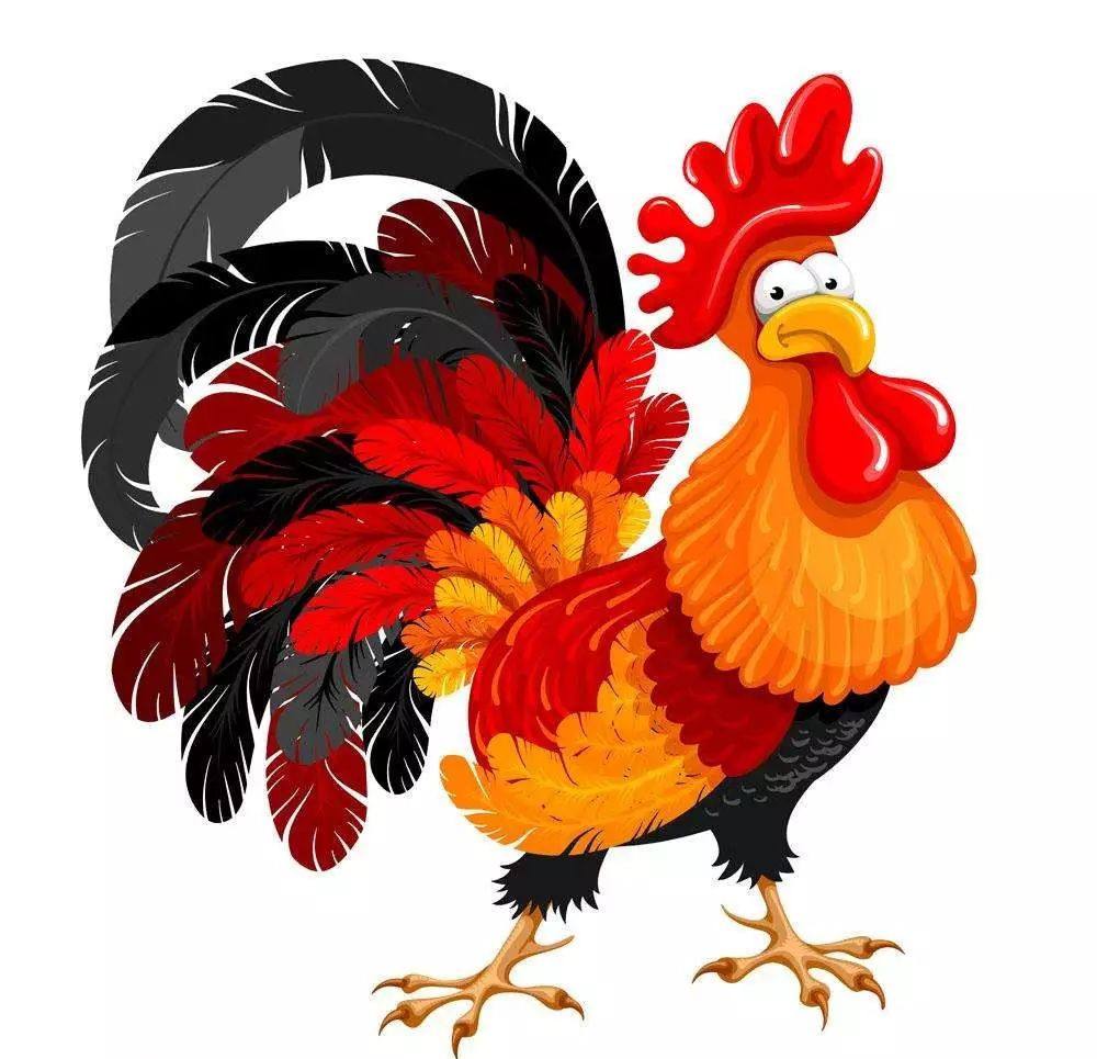 鸡属是哪一年_属鸡分别是哪一年_鸡属是哪一年的生肖